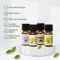 Diffuseur Siena + 4 huiles essentielles indispensables