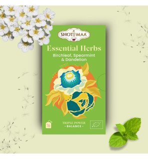 Zenaterra-Meilleures Ventes Thés & Infusions