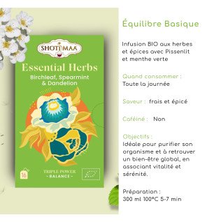 Tisane Bio Équilibre Basique – Bouleau, Menthe & Pissenlit