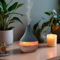 Aerys - Diffuseur et humidificateur d'air