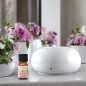 ZenCeram Blanc - Diffuseur d'huiles essentielles par chaleur douce