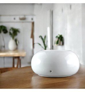  diffuseur en céramique blanche posé près de plantes vertes pour une atmosphère naturelle