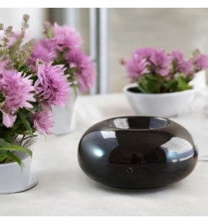  diffuseur ZenCeram noir posé près de plantes vertes pour une atmosphère naturelle