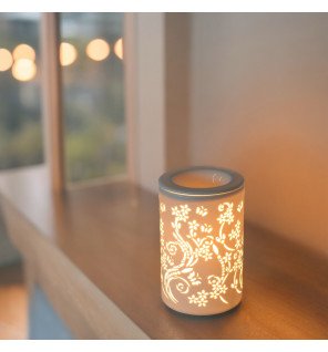  détail de la texture lisse et brillante de la céramique du diffuseur