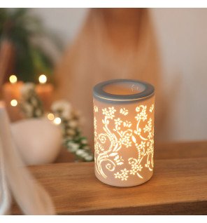  diffuseur de cire parfumée placé sur une étagère avec des livres et des plantes