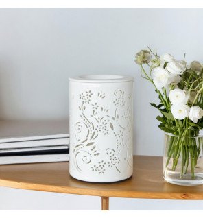  diffuseur de cire parfumée accompagné de galets décoratifs et d’huiles essentielles