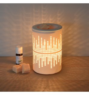  diffuseur fondants posé sur une étagère avec des plantes vertes pour une décoration naturelle