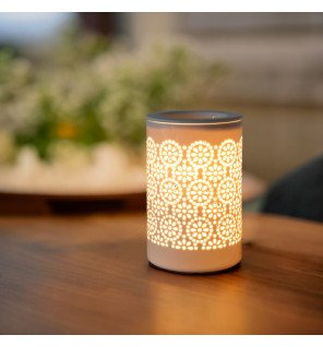  diffuseur posé sur une étagère entouré de plantes vertes pour une atmosphère relaxante