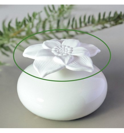 Zenaterra-Aromathérapie