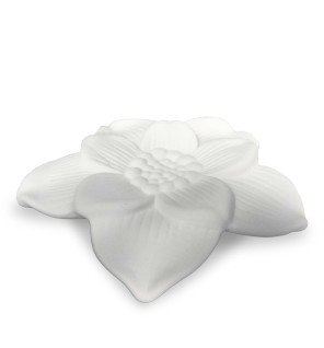  idéale pour une diffusion naturelle d'huiles essentielles