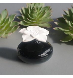 Zenaterra-Capillarité