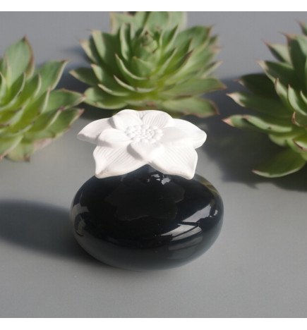 Zenaterra-Capillarité