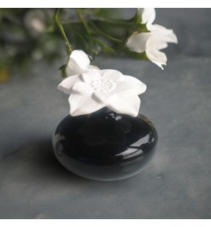 Diffuseur par capillarité Narcisse noir