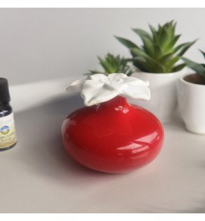  diffuseur narcisse rouge apportant une touche de couleur à une étagère minimaliste