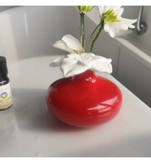  ambiance zen avec diffuseur rouge et accessoires de bien-être dans une pièce apaisante
