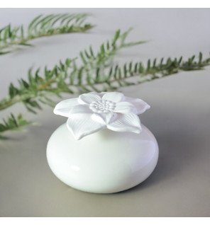 Zenaterra-Capillarité