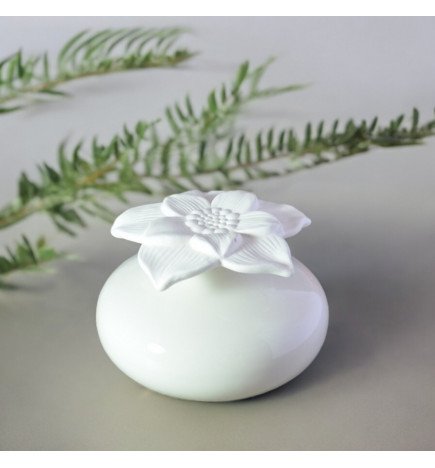 Zenaterra-Capillarité