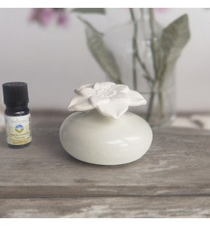  diffuseur élégant placé près d’une fenêtre laissant entrer la lumière naturelle