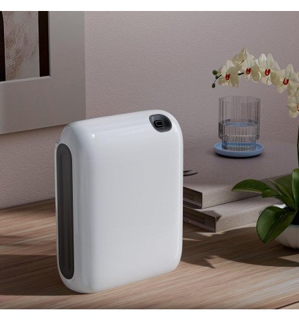 Zenaterra-Nomade Sans Fil