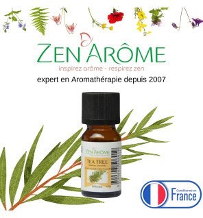  petit flacon d’huile essentielle arbre à thé entouré de feuilles vertes