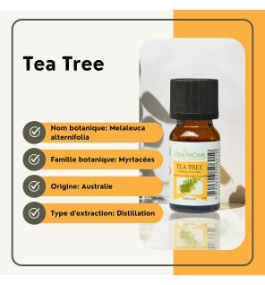  huile essentielle arbre à thé 10 ml utilisée en diffusion dans un salon lumineux