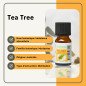 Arbre à thé - Huile essentielle - 10 ml