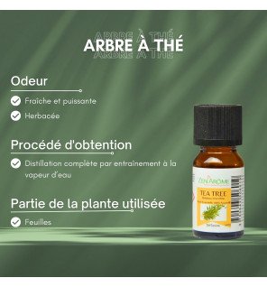  gros plan sur l’étiquette du flacon d’huile essentielle arbre à thé