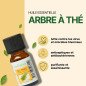 Arbre à thé - Huile essentielle - 10 ml