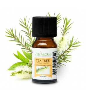 Zenaterra-St Valentin