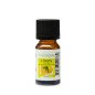 Citron - Huile essentielle - 10 ml