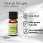 Citronnelle - Huile essentielle - 10 ml Citronnelle - Huile essentielle - 10 ml