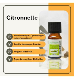  utilisation de l'huile essentielle de citronnelle pour purifier l'air dans un salon moderne