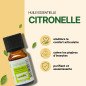 Citronnelle - Huile essentielle - 10 ml Citronnelle - Huile essentielle - 10 ml