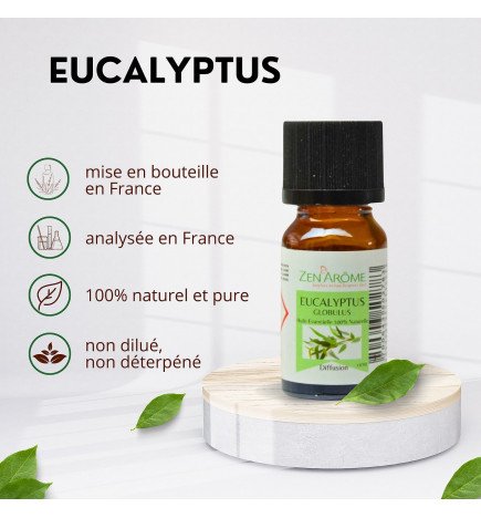 Eucalyptus - Huile essentielle - 10 ml
