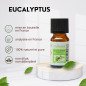 Eucalyptus - Huile essentielle - 10 ml