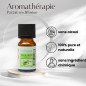 Eucalyptus - Huile essentielle - 10 ml