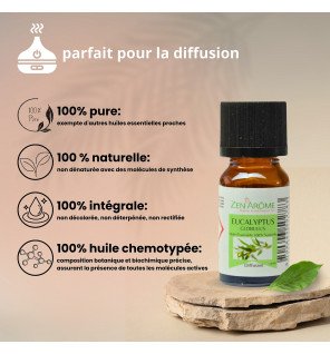  huile essentielle eucalyptus en diffusion dans un salon lumineux ambiance détente