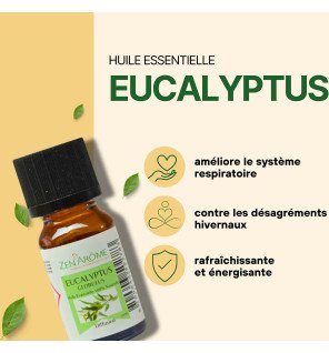  huile essentielle eucalyptus utilisée pour purifier l’air d’une chambre à coucher