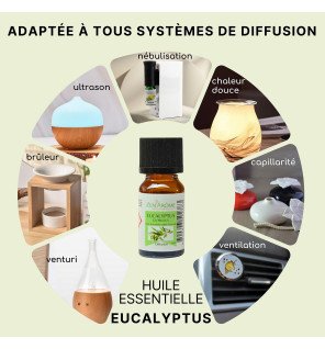  bouteille d’huile essentielle eucalyptus posée près d’un livre et d’une tasse de thé