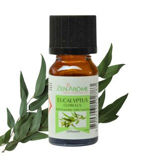  huile essentielle eucalyptus sur une étagère de salle de bain ambiance naturelle