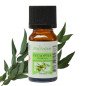 Eucalyptus - Huile essentielle - 10 ml
