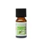 Eucalyptus - Huile essentielle - 10 ml