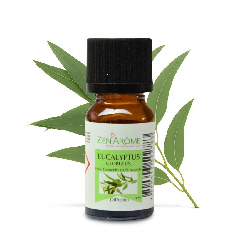 Eucalyptus - Huile essentielle - 10 ml