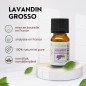 Lavandin Grosso - Huile essentielle - 10 ml