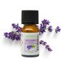 Lavandin Grosso - Huile essentielle - 10 ml
