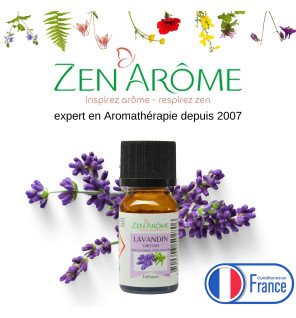  huile essentielle lavandin grosso 10 ml entourée de fleurs de lavande fraîchement coupées