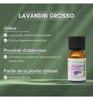  huile essentielle lavandin grosso utilisée pour la diffusion dans un diffuseur en céramique blanc