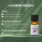 Lavandin Grosso - Huile essentielle - 10 ml