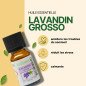 Lavandin Grosso - Huile essentielle - 10 ml