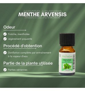  gros plan sur l’étiquette du flacon menthe arvensis mettant en avant la composition naturelle